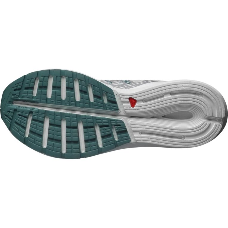 Salomon Sonic 5 Balance Men's Running Shoes White / Grey | CA 58J74